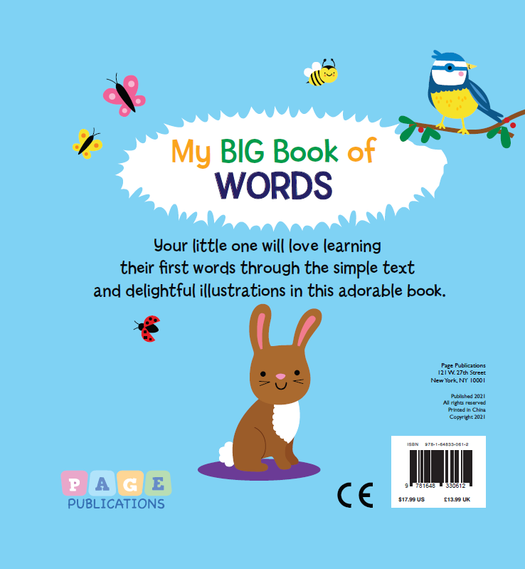 My Big Book of Words – Page Publications