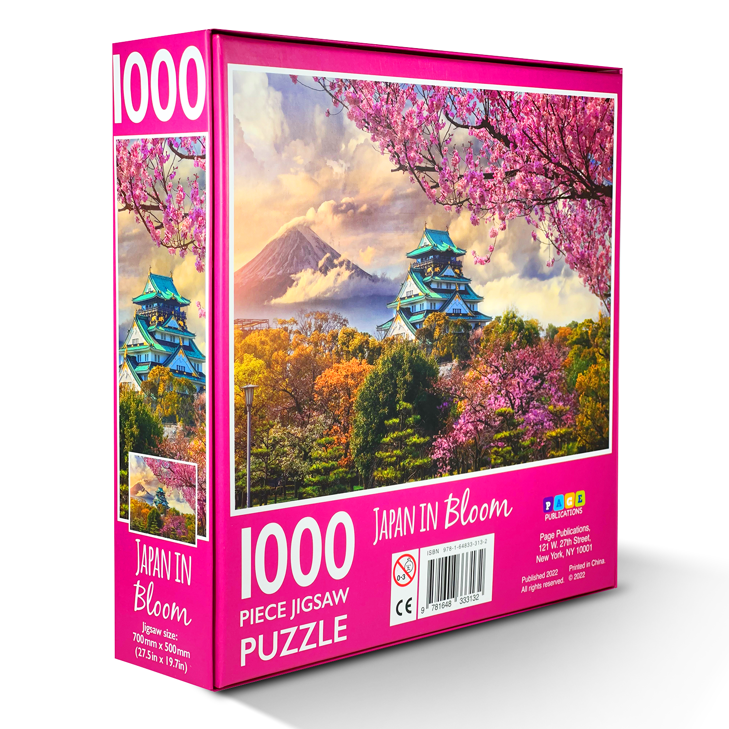 Puzzle (Japon)